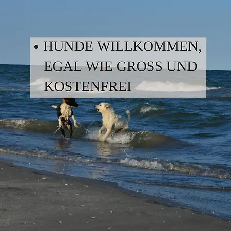 Haus Krabbe Mit Doppelbetten, Fuer 1-2 Personen, Hunde Kostenfrei Willkommen, Kostenfreier Parkplatz, Zwischen Bremerhaven Und Cuxhaven Gelegen