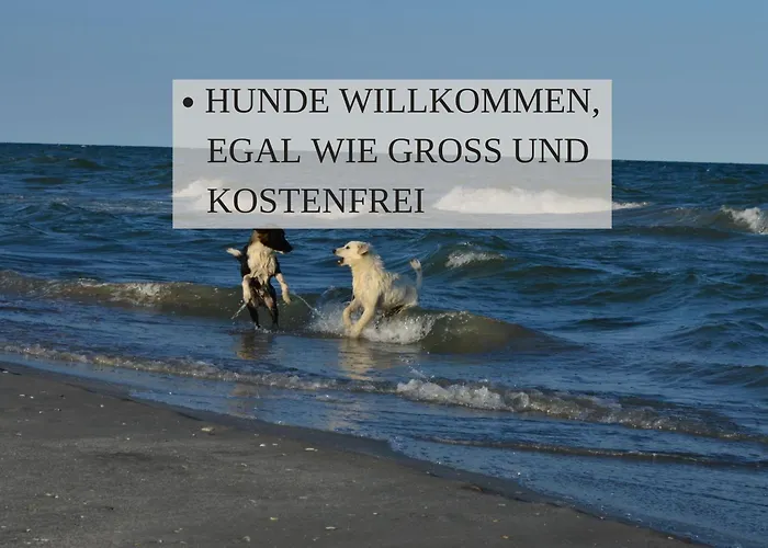 Haus Krabbe Apartments, Fuer 1-2 Personen, Hunde Kostenfrei Willkommen, Kostenfreier Parkplatz, Zwischen Bremerhaven Und Cuxhaven Gelegen